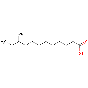 CAS No:7416-57-1 10-methyldodecanoic acid
