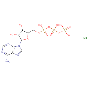 CAS No:74804-12-9 [[5-(6-aminopurin-9-yl)-3,<br />4-dihydroxyoxolan-2-yl]methoxy-hydroxyphosphoryl] phosphono hydrogen<br />phosphate