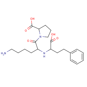 CAS No:76547-98-3 (2S)-1-[(2S)-6-amino-2-[[(1S)-1-carboxy-3-phenylpropyl]amino]hexanoyl]<br />pyrrolidine-2-carboxylic acid