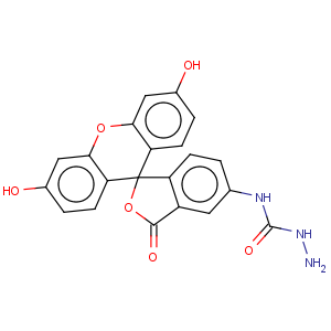 CAS No:76863-28-0 Hydrazinecarbothioamide,N-(3',6'-dihydroxy-3-oxospiro[isobenzofuran-1(3H),9'-[9H]xanthen]-5-yl)-