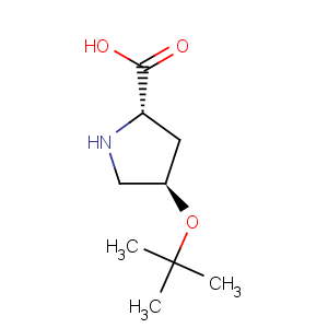 CAS No:79775-07-8 L-Proline,4-(1,1-dimethylethoxy)-, (4R)-