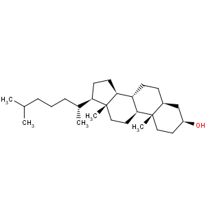 CAS No:80-97-7 Dihydrocholesterol