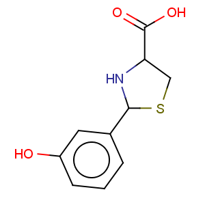 CAS No:80457-74-5 2-(3-hydroxy-phenyl)-thiazolidine-4-carboxylic acid