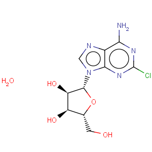 CAS No:81012-94-4 2-Chloroadenosine hemidydrate