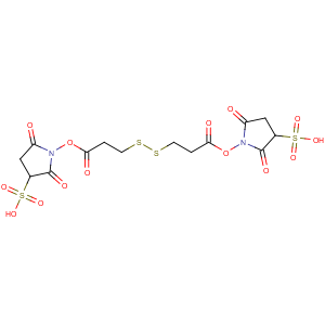 CAS No:81069-02-5 3,3'-Dithiobis(sulfosuccinimidylpropionate)