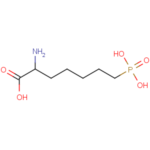 CAS No:81338-23-0 2-amino-7-phosphonoheptanoic acid