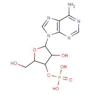 CAS No:84-21-9 3'-Adenylic acid