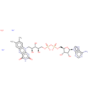 CAS No:84366-81-4 Flavin adenine dinucleotide disodium salt