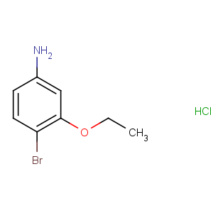 CAS No:846023-33-4 4-bromo-3-ethoxyaniline