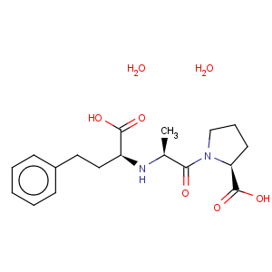 CAS No:84680-54-6 1-[N-[(S)-1-Carboxy-3-phenylpropyl]-L-alanyl]-L-proline dihydrate