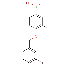 CAS No:849062-25-5 [4-[(3-bromophenyl)methoxy]-3-chlorophenyl]boronic acid