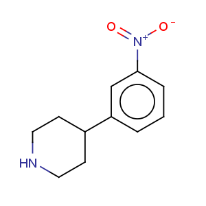 CAS No:858850-25-6 Piperidine,4-(3-nitrophenyl)-