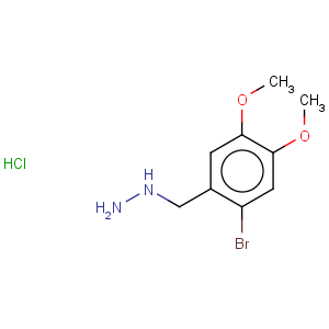 CAS No:887596-58-9 Hydrazine,[(2-bromo-4,5-dimethoxyphenyl)methyl]-