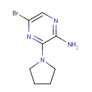 CAS No:893611-72-8 5-bromo-3-pyrrolidin-1-ylpyrazin-2-amine
