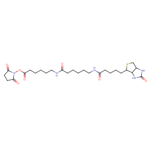 CAS No:89889-52-1 (2,5-dioxopyrrolidin-1-yl)<br />6-[6-[5-[(3aS,4S,6aR)-2-oxo-1,3,3a,4,6,6a-hexahydrothieno[3,<br />4-d]imidazol-4-yl]pentanoylamino]hexanoylamino]hexanoate