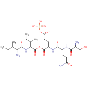 CAS No:90119-88-3 L-Glutamic acid,L-isoleucyl-L-isoleucyl-O-phosphono-L-seryl-L-glutaminyl- (9CI)