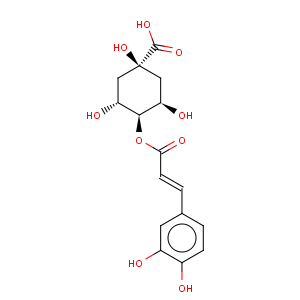 CAS No:905-99-7 Cryptochlorogenic acid