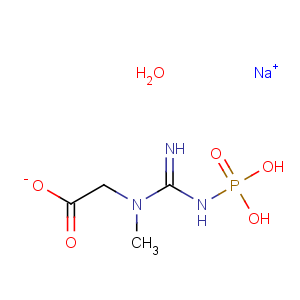 CAS No:922-32-7 Creatine phosphate disodium salt