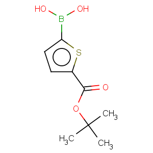 CAS No:925921-29-5 5-tert-butoxycarbonylthiophene-2-boronic acid