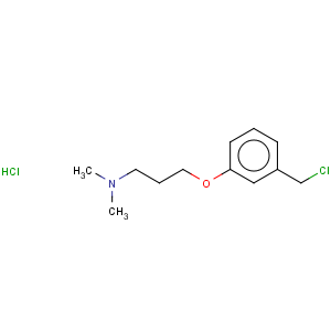 CAS No:926921-62-2 1-Propanamine,3-[3-(chloromethyl)phenoxy]-N,N-dimethyl-, hydrochloride (1:1)