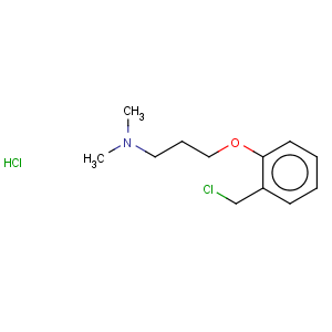 CAS No:930111-03-8 1-Propanamine,3-[2-(chloromethyl)phenoxy]-N,N-dimethyl-, hydrochloride (1:1)