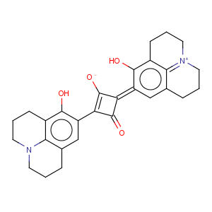 CAS No:93470-31-6 Cyclobutenediylium,1,3-dihydroxy-2,4-bis(2,3,6,7-tetrahydro-8-hydroxy-1H,5H-benzo[ij]quinolizin-9-yl)-,bis(inner salt)