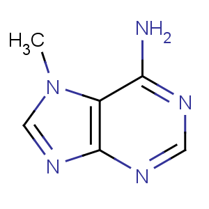 CAS No:935-69-3 7-methylpurin-6-amine