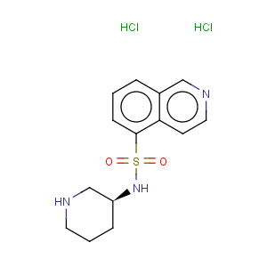 CAS No:936233-07-7 (s)-isoquinoline-5-sulfonic acid piperidin-3-ylamide dihydrochloride