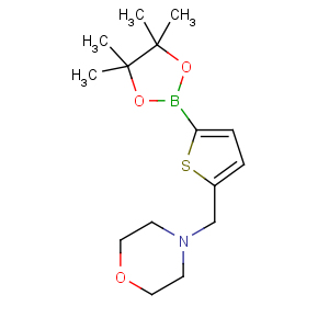 CAS No:950603-39-1 4-[[5-(4,4,5,5-tetramethyl-1,3,<br />2-dioxaborolan-2-yl)thiophen-2-yl]methyl]morpholine