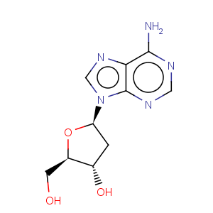 CAS No:958-09-8 2'-Deoxyadenosine