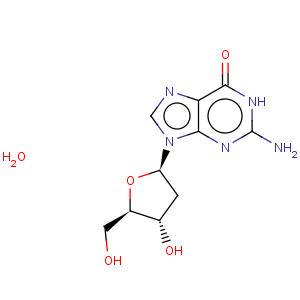 CAS No:961-07-9 2'-Deoxyguanosine monohydrate