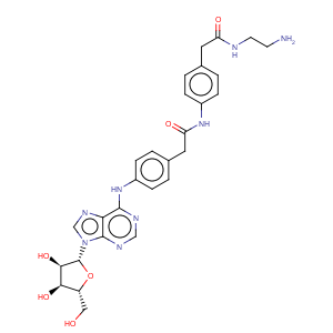 CAS No:96760-69-9 Adenosine amine congener