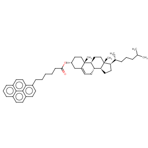 CAS No:96886-70-3 Cholest-5-en-3-ol (3b)-, 3-(1-pyrenehexanoate)