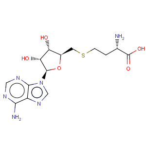 CAS No:979-92-0 L-Homocysteine,S-(5'-deoxyadenosin-5'-yl)-
